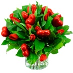 LIEFDESTULPEN